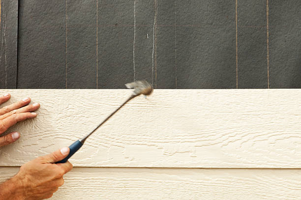 Best Fascia and Soffit Installation  in Celina, TX